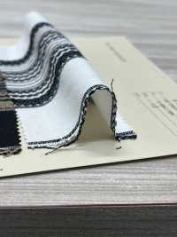 A-8162 دوبي قطن[Textile / Fabric] Arinobe Shoten صور إضافية