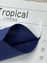 7100-3F 7100 شريط ثلاثي الطي Tropical[Ribbons, Tapes, And Cords] STAR BRAND (Hoshika) صور إضافية