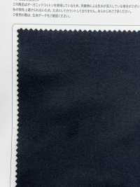 OGN-3230 CD30/2 × قطن عضوي 20/1 مولسكين[نسيج / قماش] TIPICO (Kuwamura Textile) صور إضافية