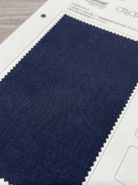 CELCHIC T-318-SR ألياف TENCEL™ ليوسيل قطن 30 جاباردين[نسيج / قماش] TIPICO (Kuwamura Textile) صور إضافية