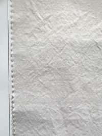 SPM-2066-KBW Supima 80/2// أوكسفورد[نسيج / قماش] TIPICO (Kuwamura Textile) صور إضافية