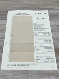 SPM-2066-KBW Supima 80/2// أوكسفورد[نسيج / قماش] TIPICO (Kuwamura Textile) صور إضافية