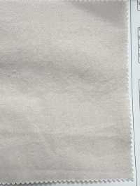SPM-6020-KBW Supima 80/2// غاباردين[نسيج / قماش] TIPICO (Kuwamura Textile) صور إضافية