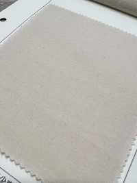 SPM-6020-KBW Supima 80/2// غاباردين[نسيج / قماش] TIPICO (Kuwamura Textile) صور إضافية