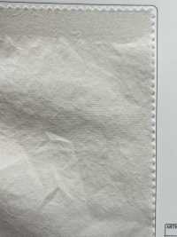 OGN-4820-KBW برودكلوث عضوي 40/1[Textile / Fabric] TIPICO (Kuwamura Textile) صور إضافية