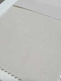 OGN-4840-KBW ساتان عضوي 40/1[نسيج / قماش] TIPICO (Kuwamura Textile) صور إضافية