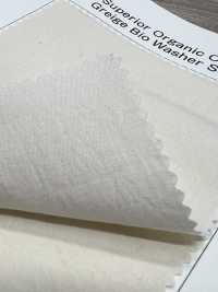 OGN-6627-KBW ساتان عضوي ممتاز 60/1[نسيج / قماش] TIPICO (Kuwamura Textile) صور إضافية