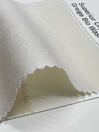 OGN-6627-KBW ساتان عضوي ممتاز 60/1[نسيج / قماش] TIPICO (Kuwamura Textile) صور إضافية
