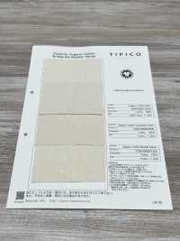 OGN-6627-KBW ساتان عضوي ممتاز 60/1[نسيج / قماش] TIPICO (Kuwamura Textile) صور إضافية