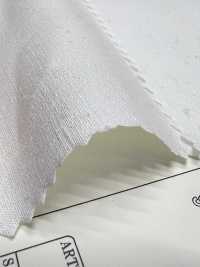 OGN-2048-PS بوبلين سلوب من القطن العضوي، مبيض على القطعة[Textile / Fabric] TIPICO (Kuwamura Textile) صور إضافية