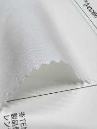 W-T4417 TENCEL™ Lyocell ألياف / جبردين قطني 30/1[Textile / Fabric] TIPICO (Kuwamura Textile) صور إضافية