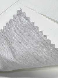 TPT-6057-PS بوبلين كتان × Tencel P مبيض[نسيج / قماش] TIPICO (Kuwamura Textile) صور إضافية