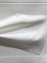 W-1395 Supima 60/2 قماش مقاوم للعوامل الجوية[نسيج / قماش] TIPICO (Kuwamura Textile) صور إضافية