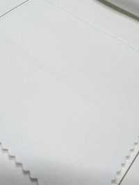 W-6020 Supima 60/2 Burberry P مبيّض[نسيج / قماش] TIPICO (Kuwamura Textile) صور إضافية