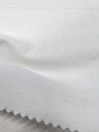 TP-1934-PS بوبلين عالي الكثافة 20x20 من القطن، مبيّض على القطعة[نسيج / قماش] TIPICO (Kuwamura Textile) صور إضافية