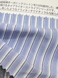 OGN-1005ST قماش تايب رايتر العضوي الفاخر المخطط[Textile / Fabric] TIPICO (Kuwamura Textile) صور إضافية