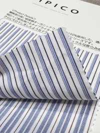 OGN-1015ST قماش تايبر رايتر العضوي الفاخر المخطط[نسيج / قماش] TIPICO (Kuwamura Textile) صور إضافية