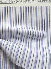 OGN-1015ST قماش تايبر رايتر العضوي الفاخر المخطط[نسيج / قماش] TIPICO (Kuwamura Textile) صور إضافية