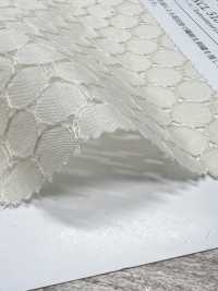 KCL518-D430 60 دانتيل لاون[نسيج / قماش] Uni Textile (Komon Kobo) صور إضافية
