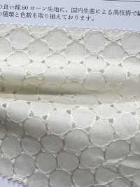 KCL518-D430 60 دانتيل لاون[نسيج / قماش] Uni Textile (Komon Kobo) صور إضافية