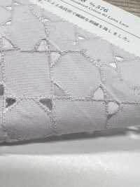KCL518-D576 دانتيل لاون 60[Textile / Fabric] Uni Textile (Komon Kobo) صور إضافية