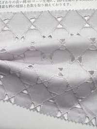 KCL518-D576 دانتيل لاون 60[Textile / Fabric] Uni Textile (Komon Kobo) صور إضافية