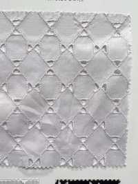 KCL518-D576 دانتيل لاون 60[Textile / Fabric] Uni Textile (Komon Kobo) صور إضافية