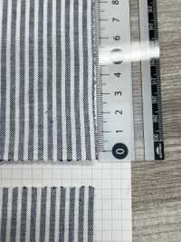 SBW3576 قماش أوكسفورد العتيق[Textile / Fabric] SHIBAYA صور إضافية