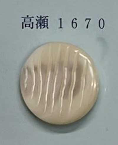 1670 زر صدفي Takase بدون حافة