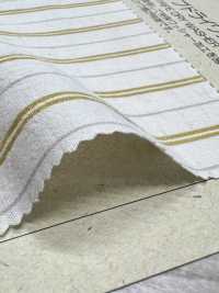 BC3581 OGN قطن وكتان بخطوط بتشطيب غسيل جاف[نسيج / قماش] COSMO TEXTILE صور إضافية