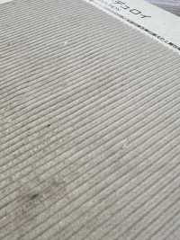 BC5000 11W كوردروي[Textile / Fabric] COSMO TEXTILE صور إضافية