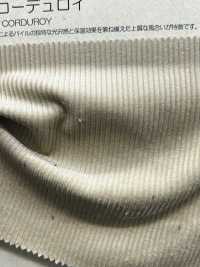 BC5000 11W كوردروي[Textile / Fabric] COSMO TEXTILE صور إضافية