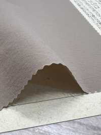 BC6590 قماش تاسلان بوليستر مقاوم للعوامل الجوية مرن بغسلة فينتاج[Textile / Fabric] COSMO TEXTILE صور إضافية