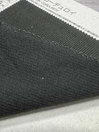 BC7500 16W كوردروي[Textile / Fabric] COSMO TEXTILE صور إضافية