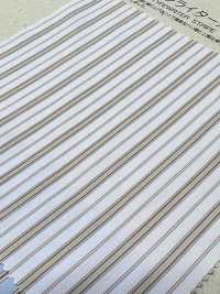 BC95171 قماش تايب رايتر مخطط 60/1[Textile / Fabric] COSMO TEXTILE صور إضافية