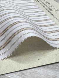 BC95171 قماش تايب رايتر مخطط 60/1[Textile / Fabric] COSMO TEXTILE صور إضافية