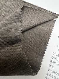 FJ920100 جيرسي عضوي ماربل فينتج[نسيج / قماش] Fujisaki Textile صور إضافية