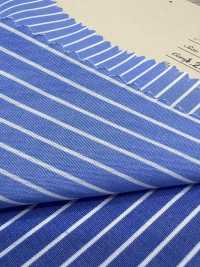 A-8142 60/1 مخطط مصبوغ بالخيوط[Textile / Fabric] Arinobe Shoten صور إضافية