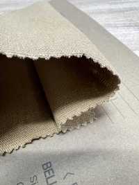 BL69000 BELLY Raffy 11/- جيرسي[نسيج / قماش] BELL TEX صور إضافية