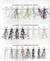 TA-7493E غزل فاخر Arrowhead