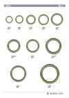RING-1 حلقة دائرية