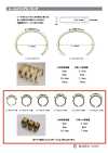 RAIL-RING حلقة السكة