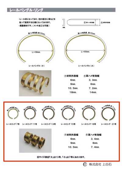 RAIL-RING حلقة السكة