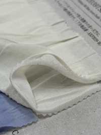 KKF2039TS2 BS×SD50d جيرسي معالجة تجاعيد عمودية X2[نسيج / قماش] Uni Textile (Komon Kobo) صور إضافية