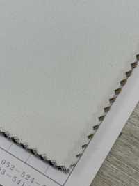 86303 دوبّي بوليستر مطاطي[Textile / Fabric] Parica صور إضافية