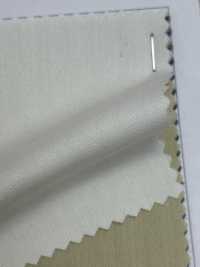 50562 T/R نسيج مائل[نسيج / قماش] Parica صور إضافية