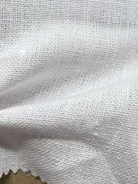 AD5182 كانفاس كتان[نسيج / قماش] COSMO TEXTILE صور إضافية