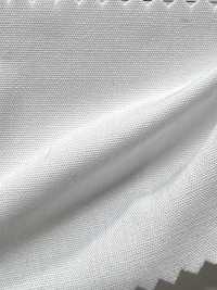 AD40000 T/C 208 برودكلوث[Textile / Fabric] COSMO TEXTILE صور إضافية