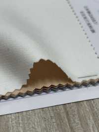 85422 T/R قماش مزدوج مدمج[Textile / Fabric] Parica صور إضافية