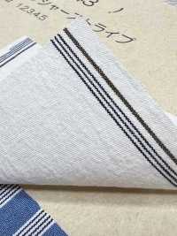 BC3543 فويل مخطط[نسيج / قماش] COSMO TEXTILE صور إضافية